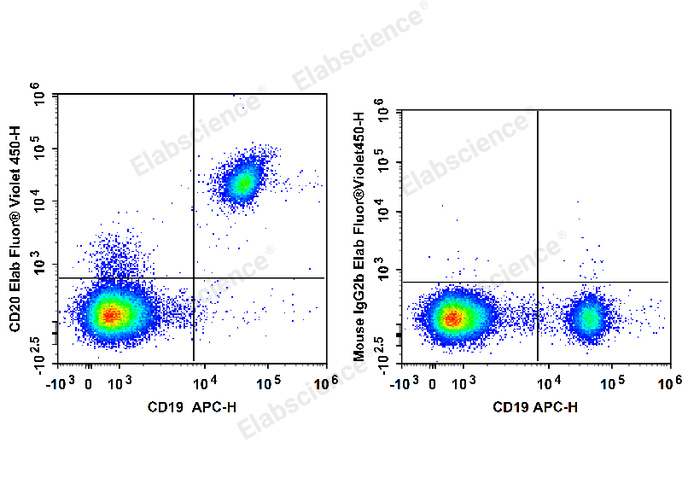 Human peripheral blood lymphocytes are stained with APC Anti-Human CD19 Antibody and Elab Fluor® Violet 450 Anti-Human CD20 Antibody (Left). Lymphocytes are stained with APC Anti-Human CD19 Antibody and Elab Fluor® Violet 450 Mouse IgG2b, κ Isotype Control (Right).