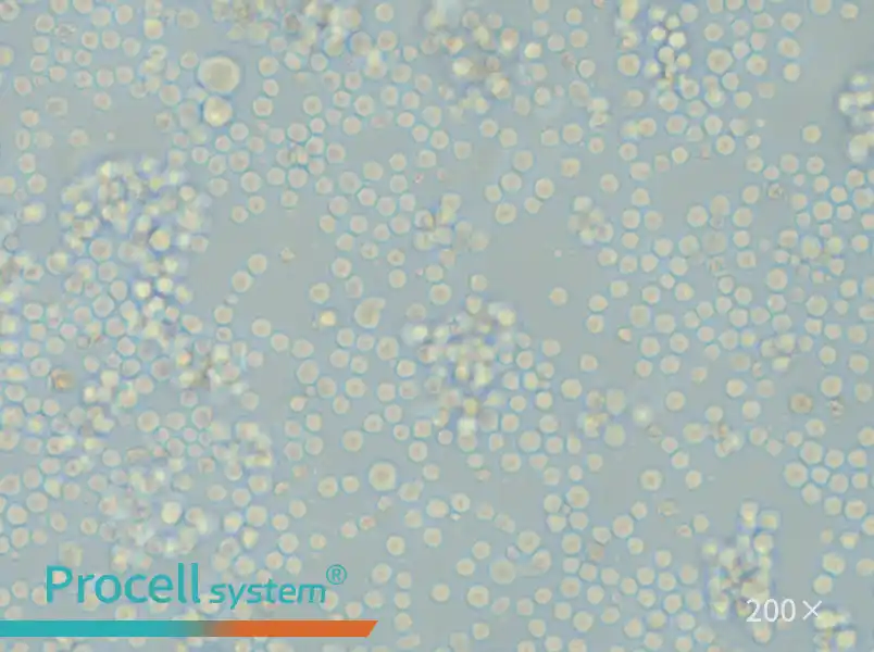 L1210 Cell Complete Medium - small - 6