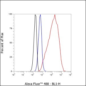 Recombinant TSHB Monoclonal Antibody - small - 5
