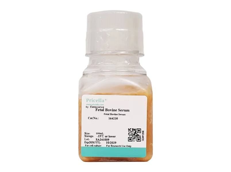 Fetal Bovine Serum