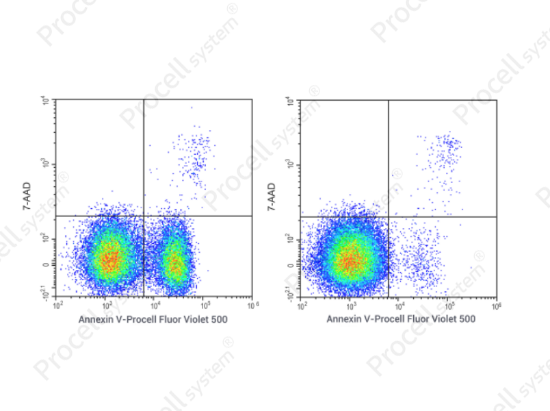 Annexin V-Procell Fluor Violet 500/7-AAD Apoptosis KitAnnexin V-Procell Fluor Violet 500/7-AAD Apoptosis Kit - 1