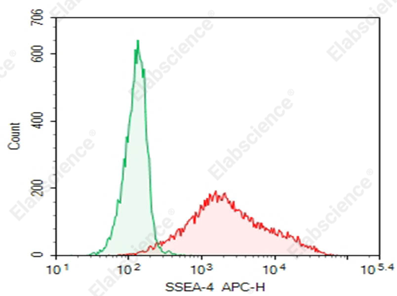 Purified Anti-Human SSEA-4 Antibody[MC-813-70] - 1