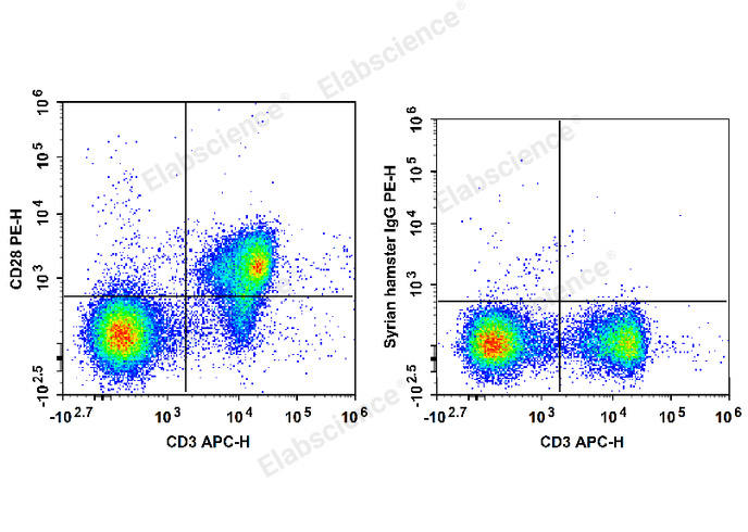 C57BL/6 murine splenocytes are stained with APC Anti-Mouse CD3 Antibody and PE Anti-Mouse CD28 Antibody (Left). Splenocytes are stained with APC Anti-Mouse CD3 Antibody and PE Syrian Hamster IgG Isotype Control (Right).