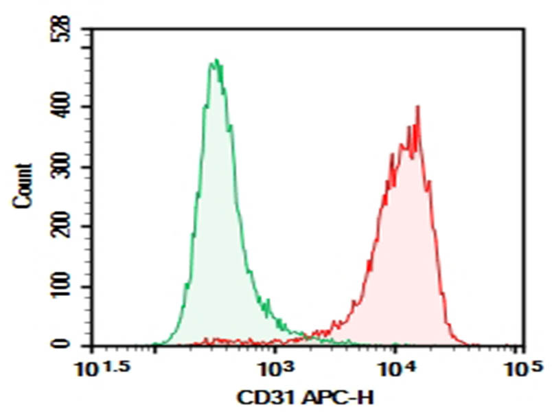 Purified Anti-Mouse CD31 Antibody[MEC13.3] - 1