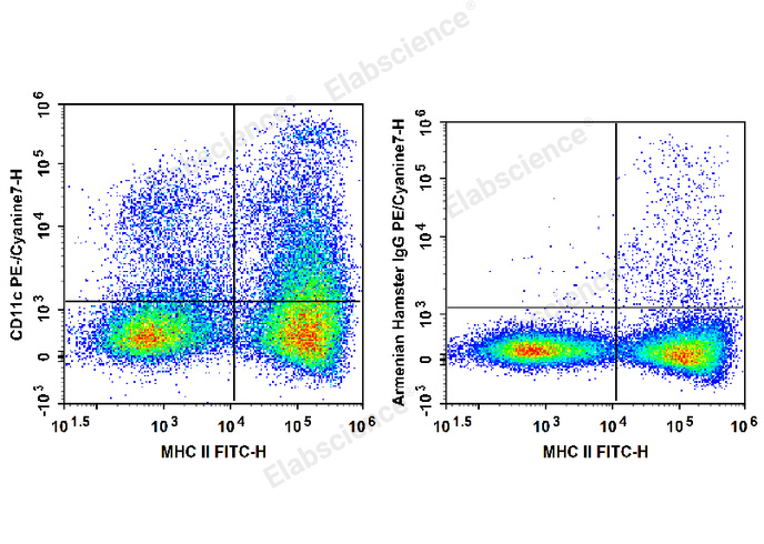 C57BL/6 murine splenocytes are stained with FITC Anti-Mouse MHC II Antibody and PE/Cyanine7 Anti-Mouse CD11c Antibody (Left). Splenocytes are stained with FITC Anti-Mouse MHC II Antibody and PE/Cyanine7 Armenian Hamster IgG Isotype Control (Right).