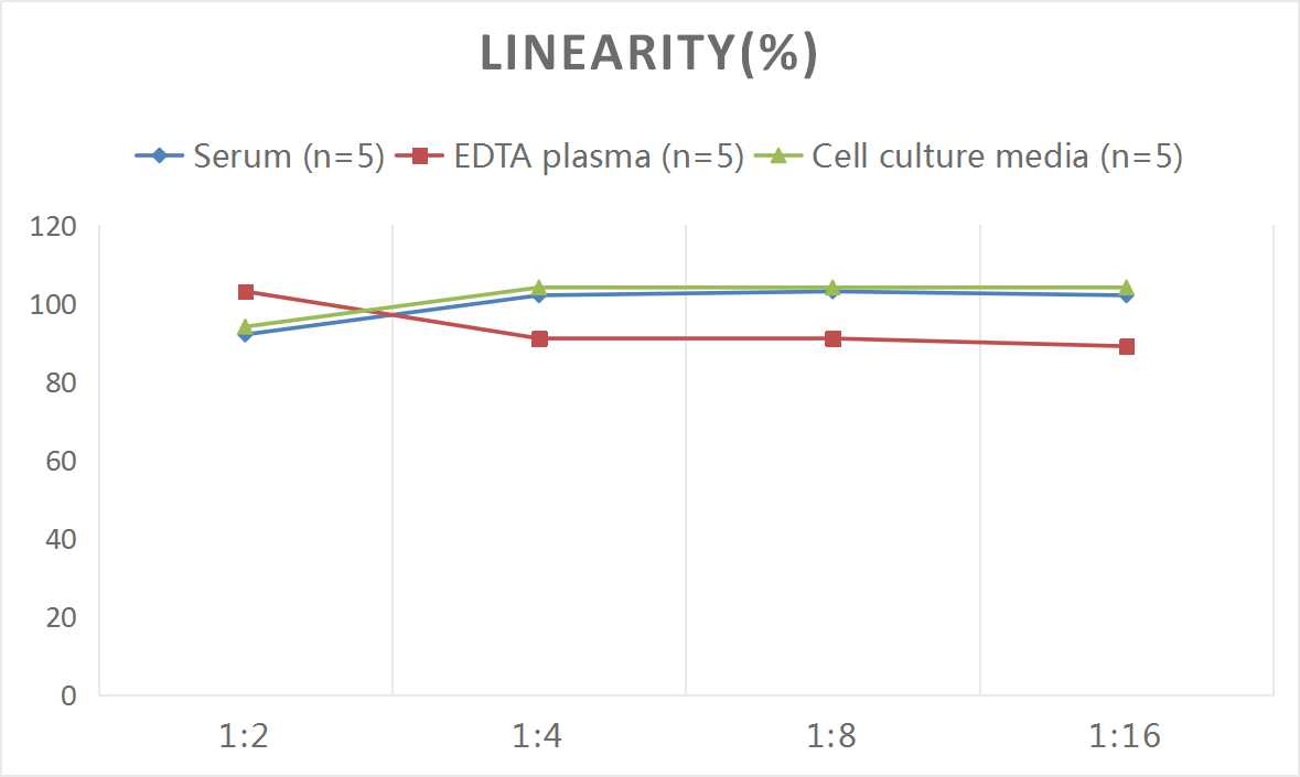Mouse REN(Renin) ELISA Kit-1