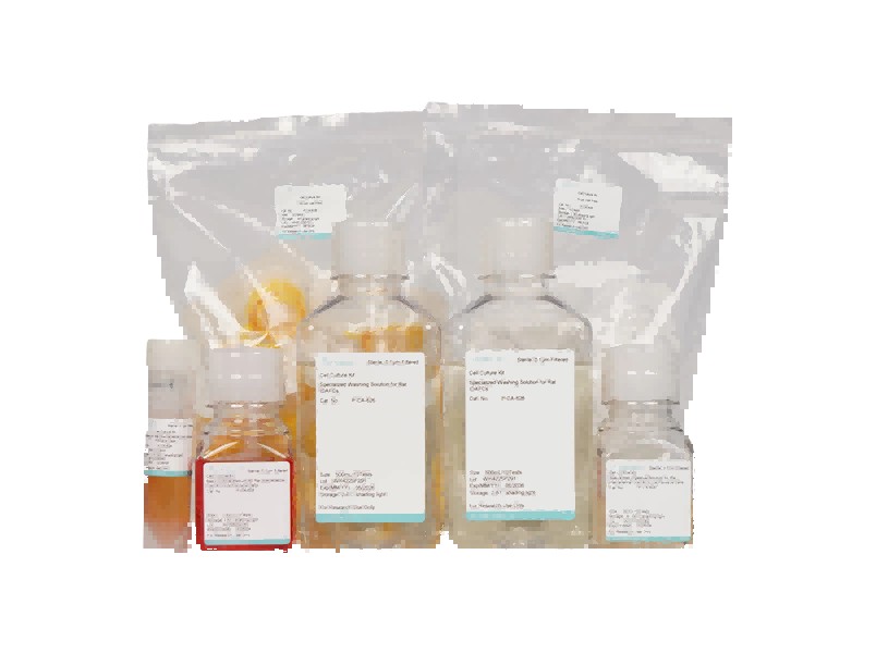 Rat Intervertebral Disc Annulus Fibrosus Cell Isolation and Culture KitRat Intervertebral Disc Annulus Fibrosus Cell Isolation and Culture Kit - 2