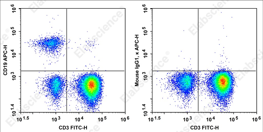 APC Anti-Human CD19 Antibody[HIB19] - 1