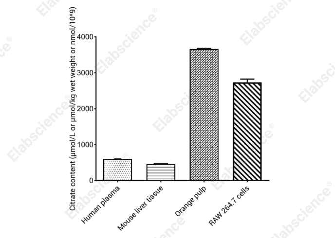 Citrate Fluorometric Assay Kit - 2