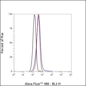 Recombinant Phospho-BTK (Tyr551) Monoclonal Antibody - small - 2