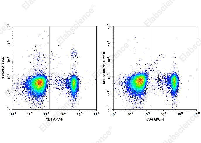 PE Anti-Human TCRβV 8.1 Antibody[16G8] - 1