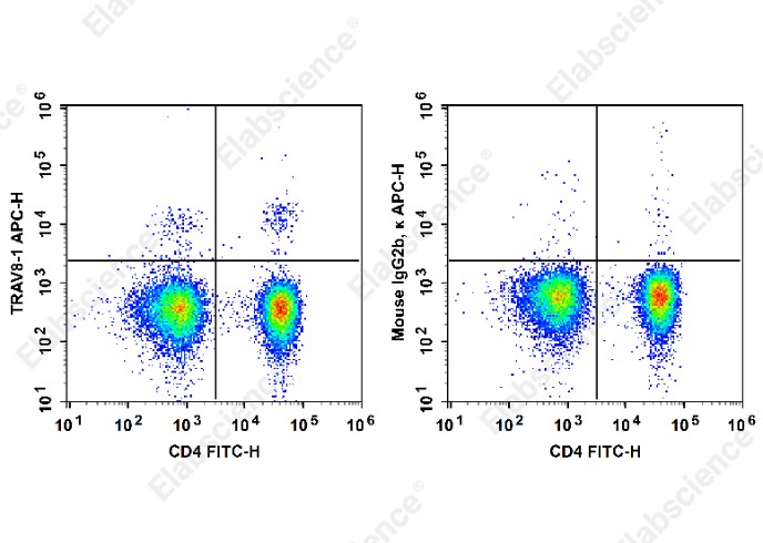 APC Anti-Human TCRβV 8.1 Antibody[16G8] - 1