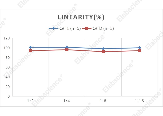 CellaQuant™ Human IL-23 (Interleukin 23) ELISA Kit - 2