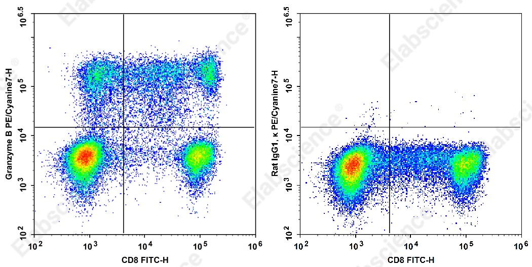 PE/Cyanine 7 Anti-Human Granzyme B Antibody[QA18A28] - 1