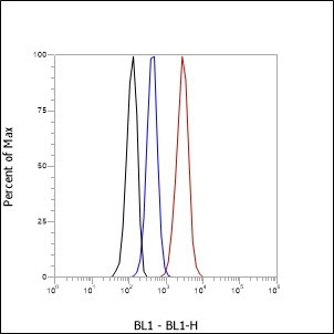 Recombinant IGJ Monoclonal Antibody - small - 4