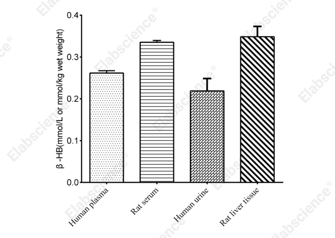 β-Hydroxybutyrate (Ketone Body) Colorimetric Assay Kit - 2