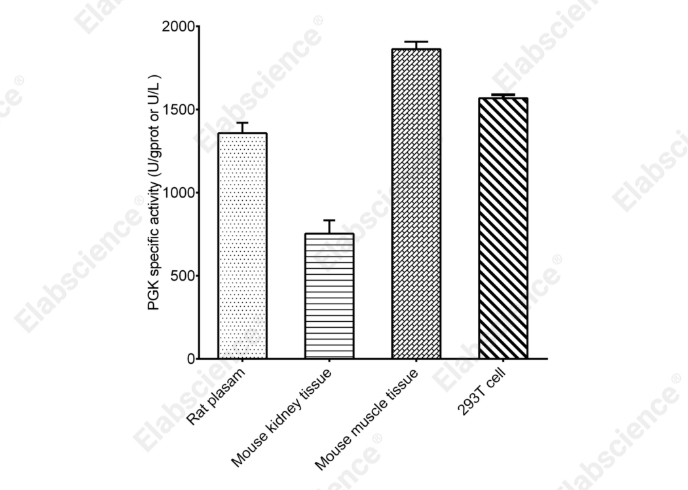 Phosphoglycerate Kinase (PGK) Activity Colorimetric Assay Kit - 1