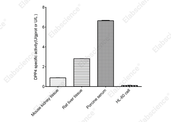 Dipeptidyl Peptidase IV (DPP4) Activity  Fluorometric Assay Kit - 2