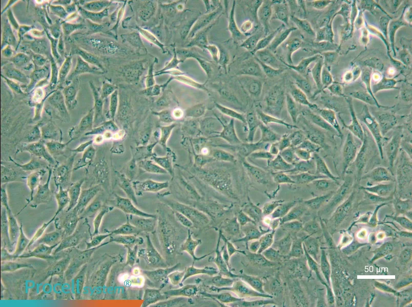 KTC-1 - 5