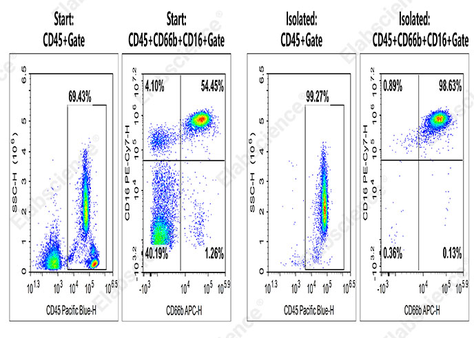 EasySort™ Human Neutrophil Isolation Kit - 1