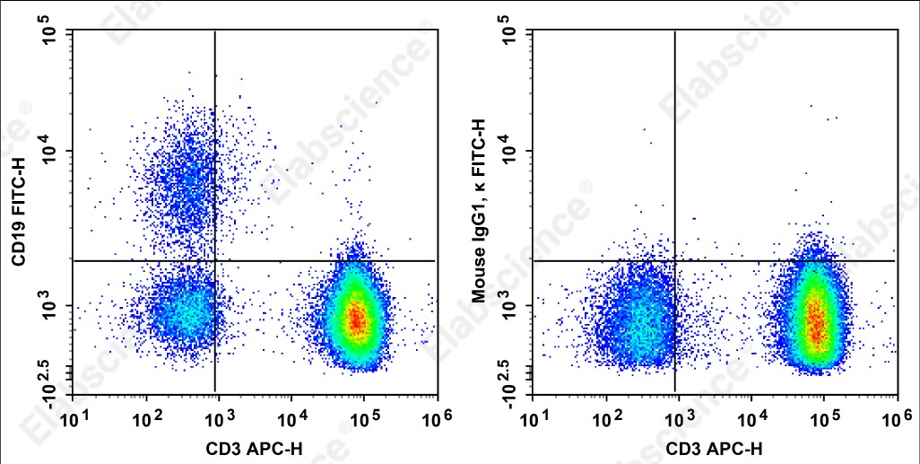 FITC Anti-Human CD19 Antibody[HIB19] - 1