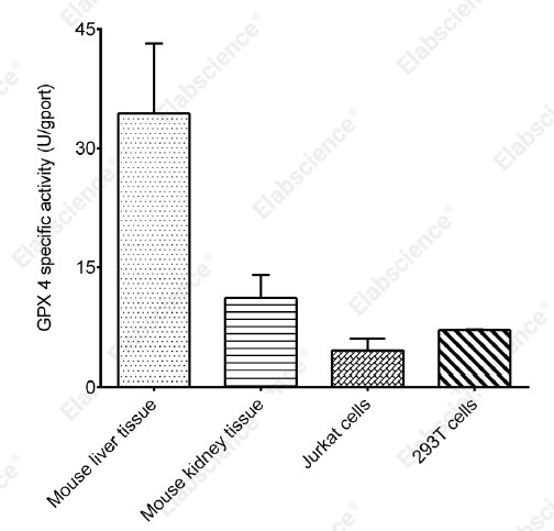 Glutathione Peroxidase 4 (GPX4) Activity Assay Kit - 1