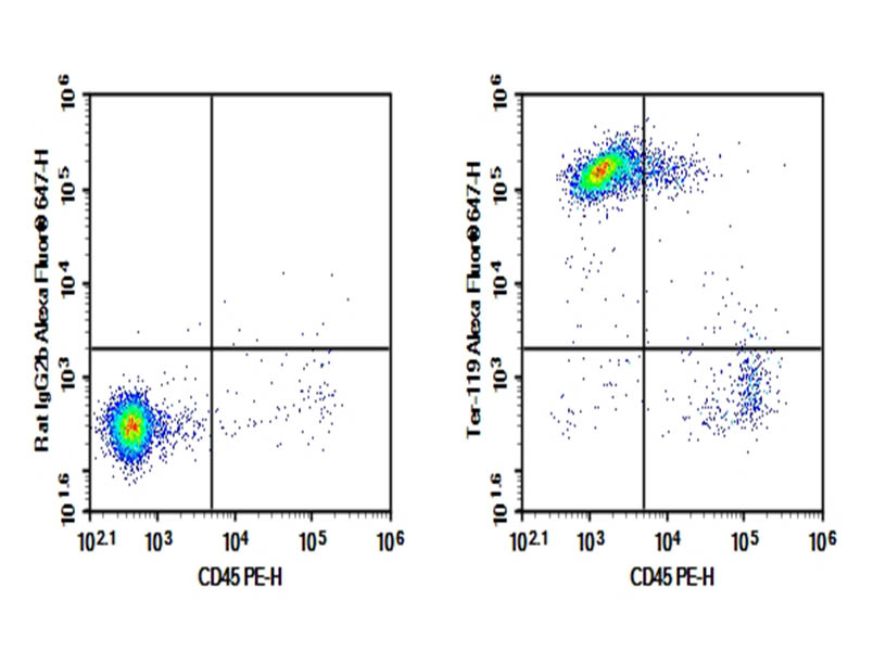 Purified Anti-Mouse TER-119 Antibody[TER-119], Functional Grade - 1