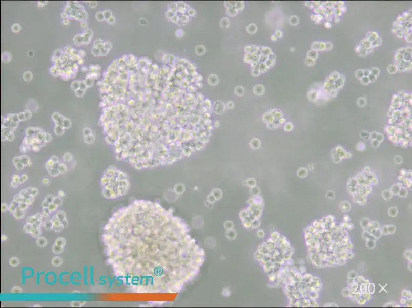 Farage Cell Complete Medium - small - 5