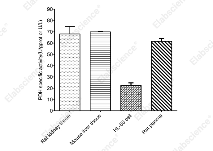 Pyruvate Dehydrogenase (PDH) Activity Assay Kit - 2