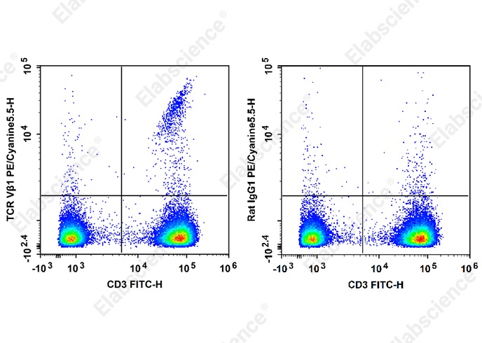 PE/Cyanine 5.5 Anti-Human TCR Vβ1 Antibody[BL37.2] - 1