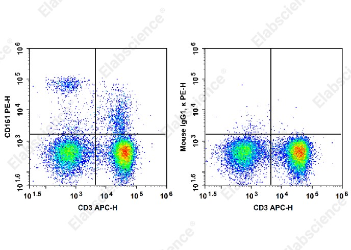 PE Anti-Rat CD161 Antibody[QA19A15] - 1