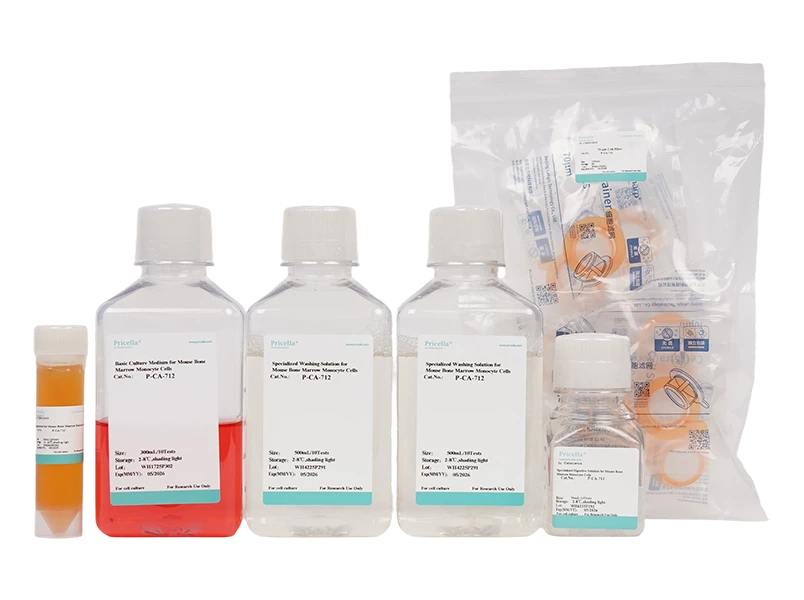 Mouse Bone Marrow Monocyte Cells Isolation and Culture Kit - small - 2