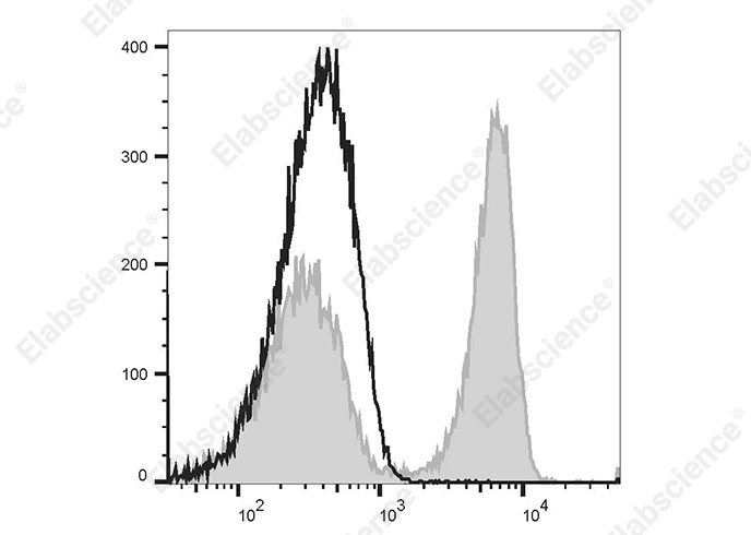 PE Anti-Rat TCR α/β Antibody[R73] - 1