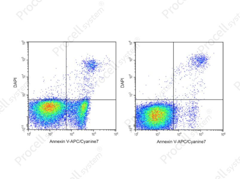 Annexin V-APC/Cyanine7/DAPI Apoptosis Kit
