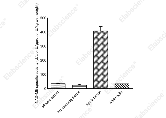 NAD-Malic Enzyme (NAD-ME) Activity
Colorimetric Assay Kit - 1