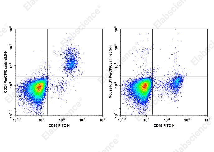 PerCP/Cyanine 5.5 Anti-Human CD24 Antibody[HIQB24]-1