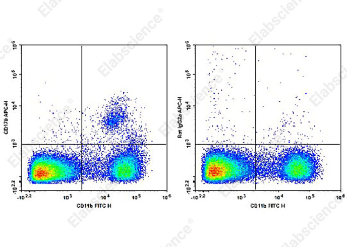 APC Anti-Mouse CD170 Antibody[S17007L]-1