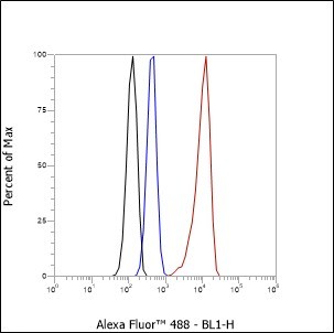 Recombinant Myosin Light Chain 3 Monoclonal Antibody - small - 7