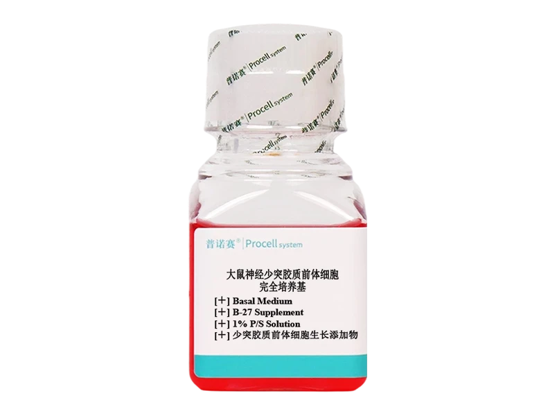 https://789.bio/ec/p4nsyA6F