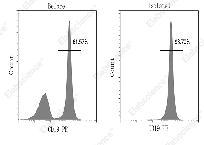 EasySort™ Mouse B Cell Isolation Kit-1