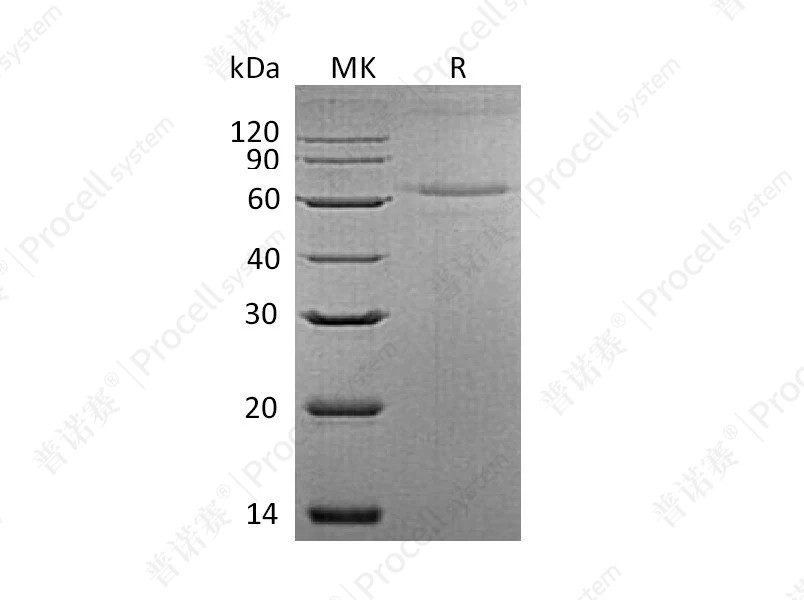 https://789.bio/ec/p58OdD