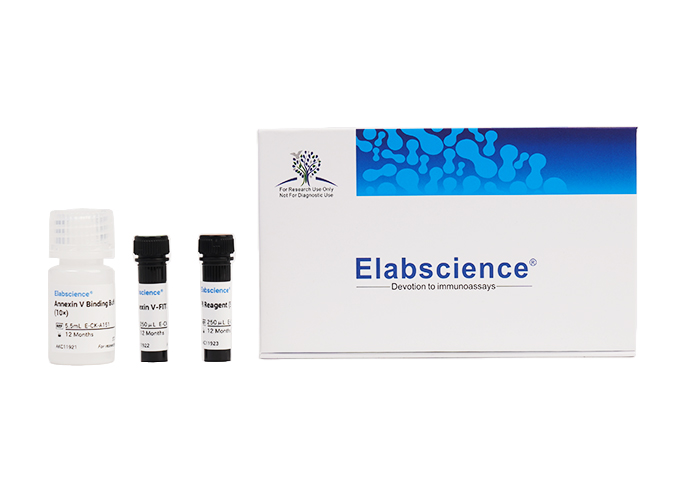 Annexin V-Elab Fluor® 647 Reagent