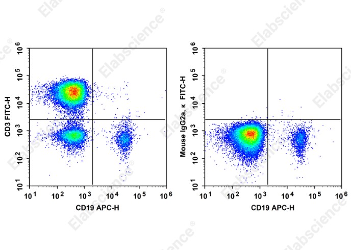 FITC Anti-Human CD3 Antibody[HIT3a] - 1