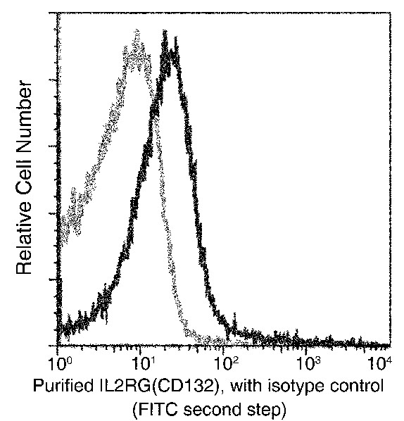 Recombinant CD132/IL2RG Monoclonal Antibody - small - 2
