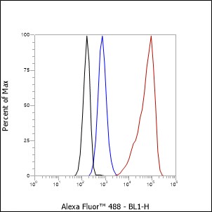 Recombinant SETD1A Monoclonal Antibody - small - 6