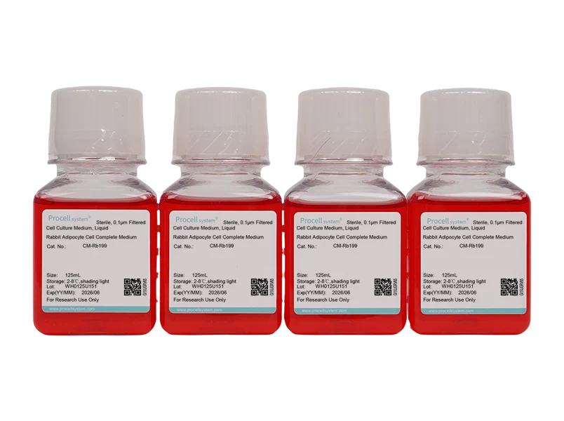 Rabbit Adipocyte Cell Complete MediumRabbit Adipocyte Cell Complete Medium - 2