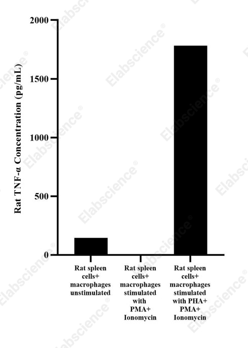 Uncoated Rat TNF-α(Tumor Necrosis Factor Alpha) ELISA Kit - 3