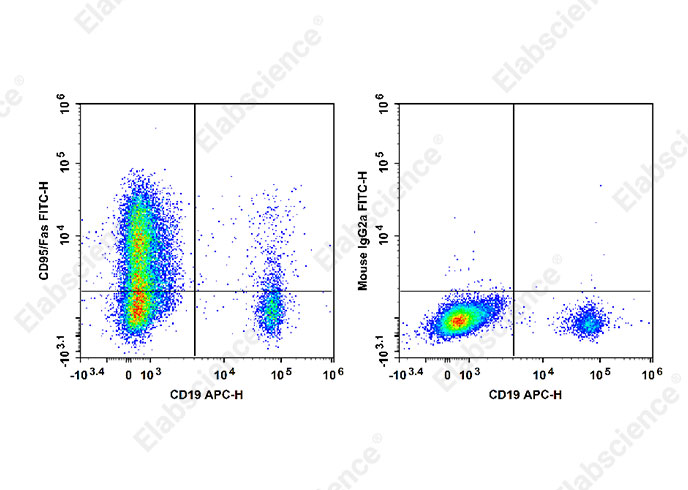 FITC Anti-Human CD95/Fas Antibody[HFE7A/APO]-1