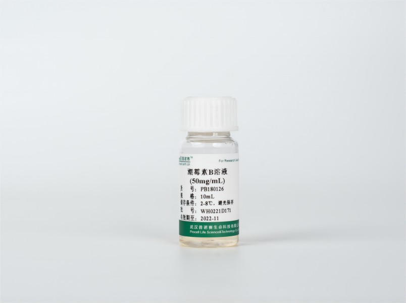 https://789.bio/ec/pHGRxS