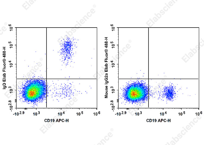Elab Fluor® 488 Anti-Human IgD Antibody[IA6-2]-1